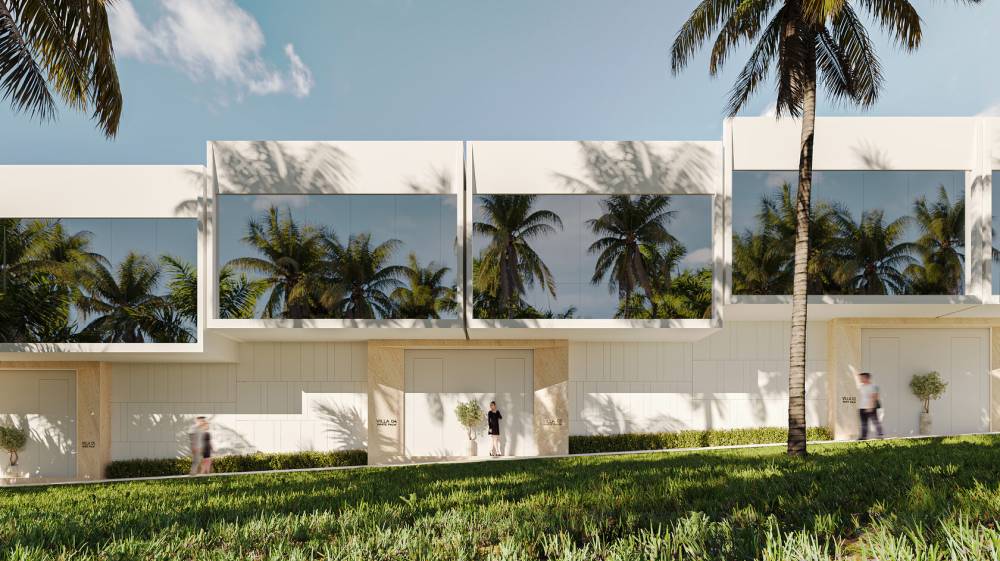 Gallery White Palm#