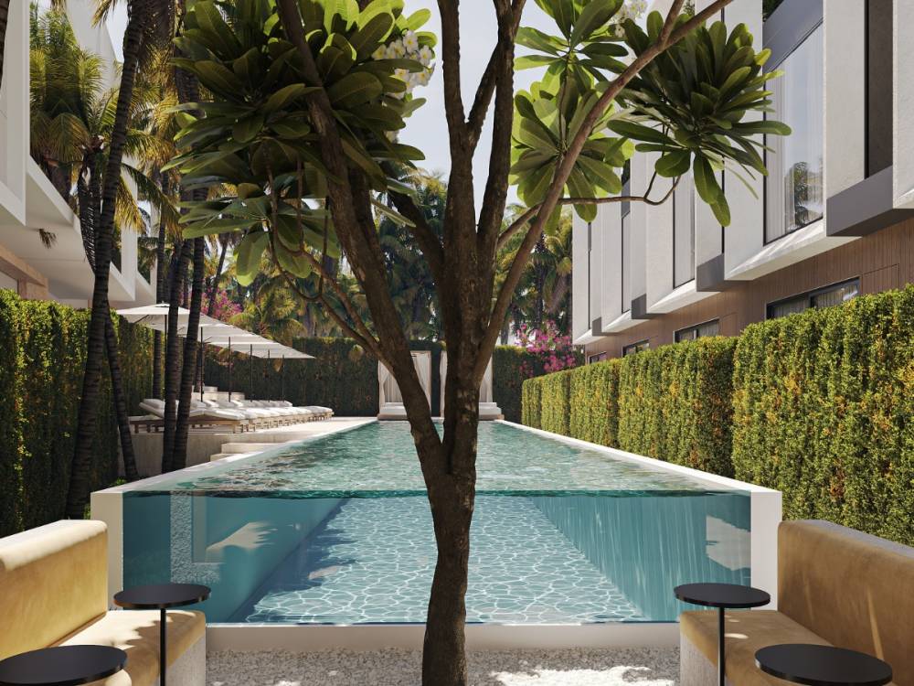 Gallery White Palm#