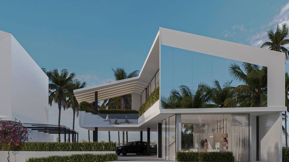 Gallery White Palm#