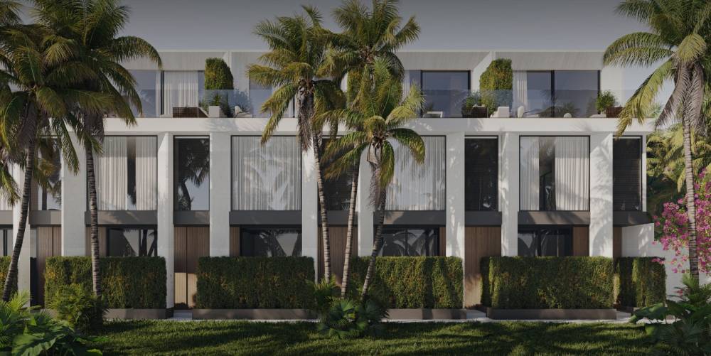Gallery White Palm#