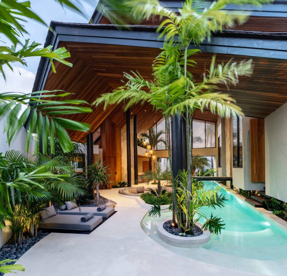 Gallery Can Maestro#