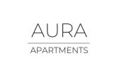 Aura Investment Group