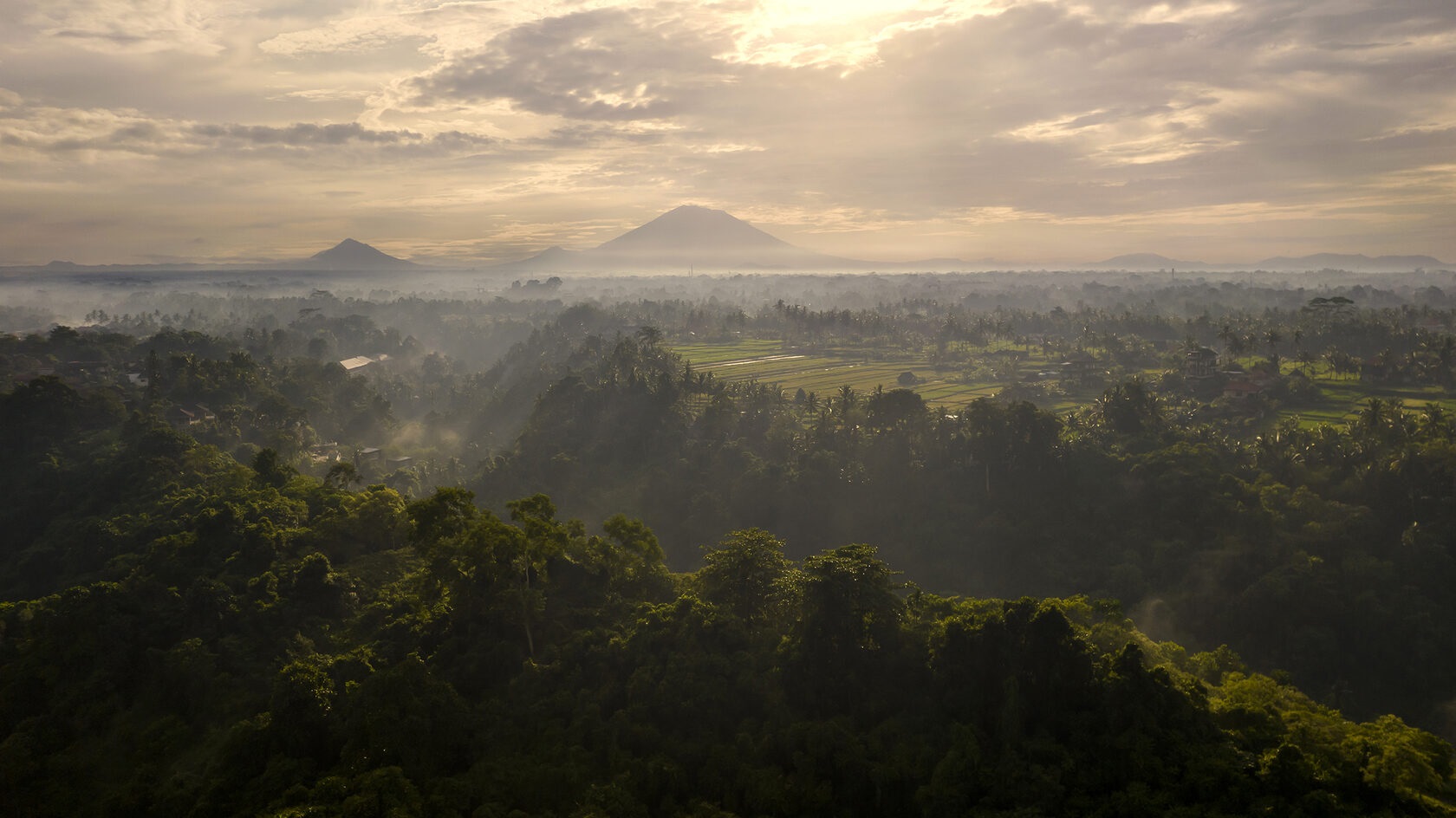 Gallery Art Boutique hotel