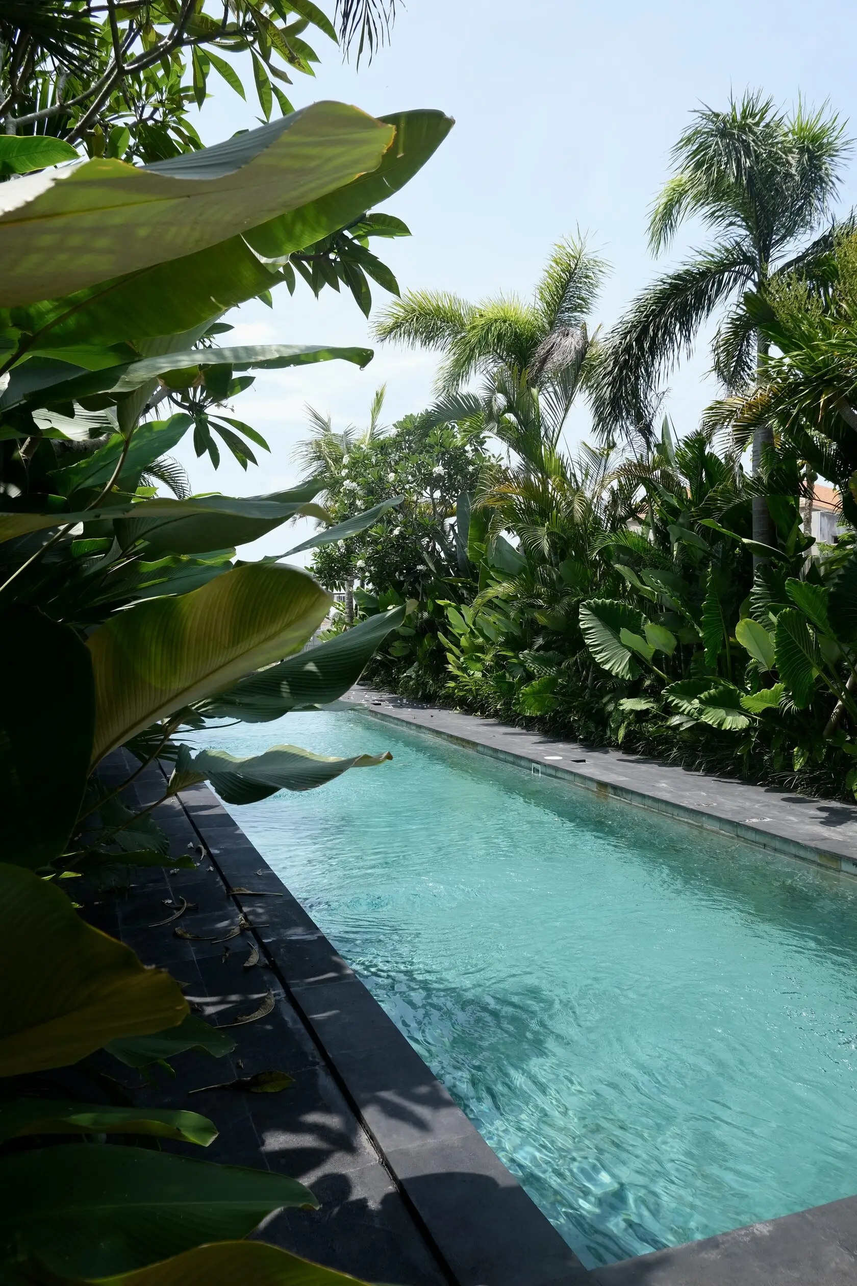 Gallery Amo Residence